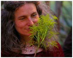 Dr. Barbara Ditsch Dr. Barbara Ditsch